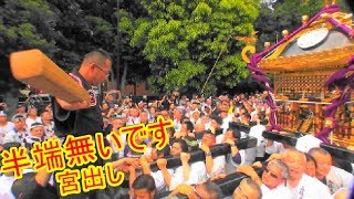 29年 五條天神  大祭  本社千貫神輿宮出上野公園渡御其の三。