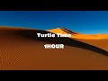 turtle time 1 hour