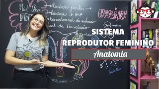 Anatomia Humana | Sistema Reprodutor Feminino 🐵📚