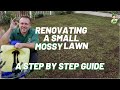 Renovating a small lawn (full of moss down one side)