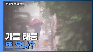 제주도에 물 폭탄, 남해안 강풍...가을 태풍 또 오나? / YTN