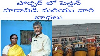 హార్భర్ లో పెన్షన్ హడావిడి మరియు వారి బాధలు