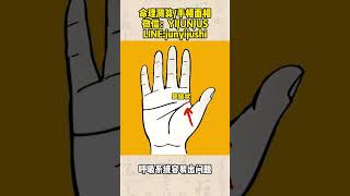 呈锁链状的掌纹特征#手相 #八字算命 #palmistry