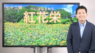 七十二候・紅花栄【お天気さんの季節便り】