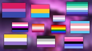 Pride flags and what they mean Part 1