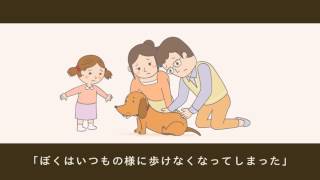 室内犬のための滑り止め床用コーティング剤「リンレイ」コンセプト動画（Crevo制作実績）