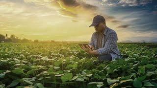 Agricultural Solutions  The Role of Technology and Innovation in Farming