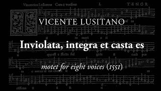 Vicente Lusitano - \