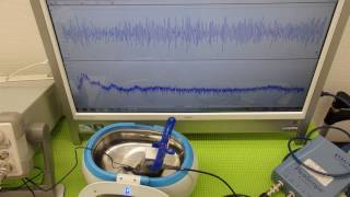 超音波実験　Ultrasonic experiment