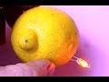 Free energy electricity generator using Lemon. Self running light Bulb 2018