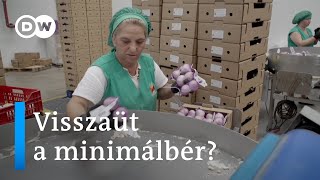 Bérmininum, ami elbocsátásokhoz vezet? Mégsem olyan sikeres a spanyol minimálbér?