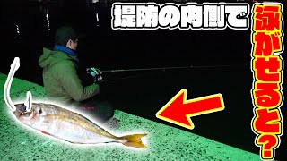 アジの回遊に合わせて海へ落とすとアイツが現れた！！