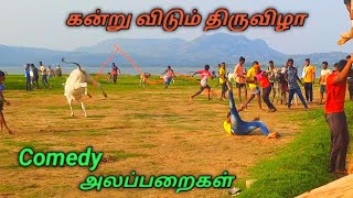 கன்று விடும் திருவிழா Comedy அலப்பறைகள்  Kandru Street Comedys Krishnagiri distric