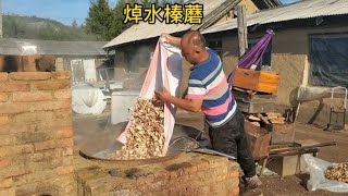 东北林区的丰收年，早上4点把榛蘑焯水，下午采榛子，忙不过来啊【东北林区艾三】