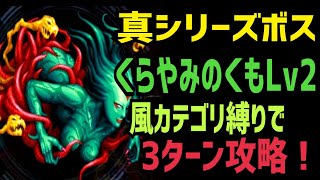 【FFBE】真シリーズボス くらやみのくもLv2 風カテゴリ縛りで3ターン攻略！