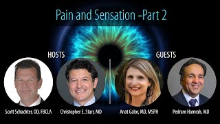 TFOS DEWS II Pain and Sensation-Part 2 with Anat Galor, MD, MSPH, and Pedram Hamrah, MD