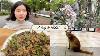 政大vlog | A BUSY DAY IN NCCU