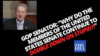 FIERY VIDEO: GOP Senator LETS LOOSE on Democrats on Senate Floor | FULL REMARKS