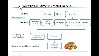 fMRI Analysis with SPM: Structural Preprocessing (with GUI)