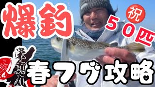 淡路のフグ爆釣‼️名人すず美氏の『海苔パターン』攻略法解説📖ショウサイフグ⚔️カットウ釣り