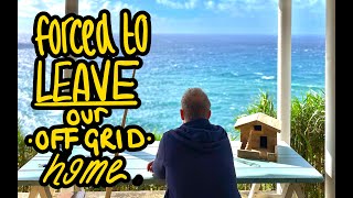 we had to GO... Autumn Renovation - OFF GRID Tiny House Homestead, Portugal + trying AZORES produce!