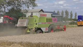 CLAAS DOMINATOR MEGA 204