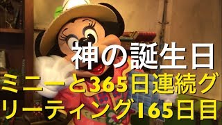 ミニーと365日連続グリーティング165日目〜神の誕生日〜 my Disney tour day 165 I meet minnie mouse