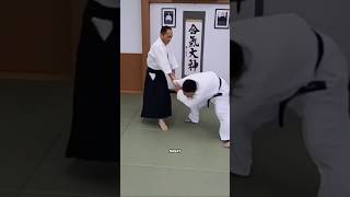 Why Aikido Is More Than Just a Martial Art #shorts