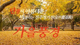 [4K] 단풍이 아름다운 , 가을비 내리는 전주경기전(全州慶基殿)