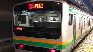 【夜間車窓左側】E231系上野東京ライン快速アクティー 熱海〜古河