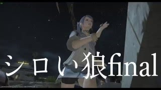 ＦＦ14対戦！シロい狼day7