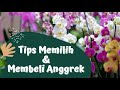 Tips Memilih Dan Membeli Anggrek | Choosing And Buying Orchids