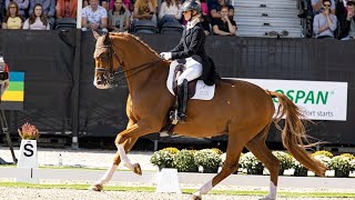 Scoop du Bois Luric - CDI3* Ermelo - August 2022 - Grand Prix Freestyle