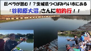 巨ベラが潜む！？茨城県つくばみらい市にある『谷和原大沼』さんに初釣行！！