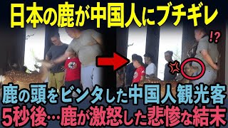 【海外の反応】「本当に同じ惑星の人たちなの？」奈良公園で中国人のトラブル大量発生！温厚な鹿が中国人にだけ寄り付かない理由とは 宇宙