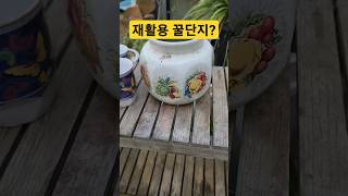 #꿀단지 재활용 #바위솔 #항아리 구멍뚫기#정원 소품 #만들기 #가드닝 #gardening #shorts