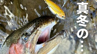 真冬の川にバス釣り行ったらスゲ〜魚釣れた！！メタルバイブ炸裂！！！