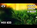 Liquid Drum and Bass Mix 633