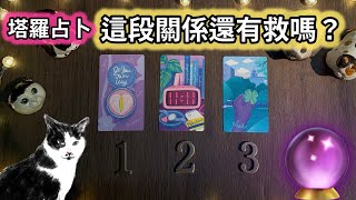 【字幕】💛💖 這段關係還有救嗎？關係走向💖💛 #喵黛麗塔羅