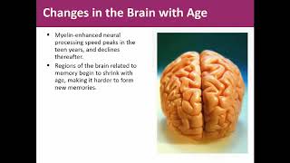 Module 16 - Adulthood