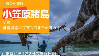 境浦海岸のブランコまでの道のりの様子:小笠原父島2020/12/29　Japan's World Heritage Site