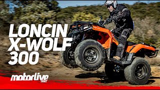 LONCIN XWolf 300 | TEST MOTORLIVE