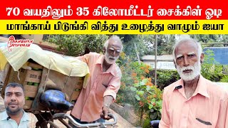 70 வயதிலும் 35 கிலோமீட்டர் சைக்கிள் ஓடி உழைக்கு ஐயா | மாங்காய் வியாபாரி| Thanushan View | Atchuvely