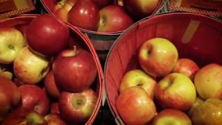 Door County Fall Seasonal