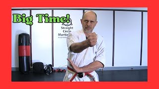 THE exercise to teach true punching POWER.