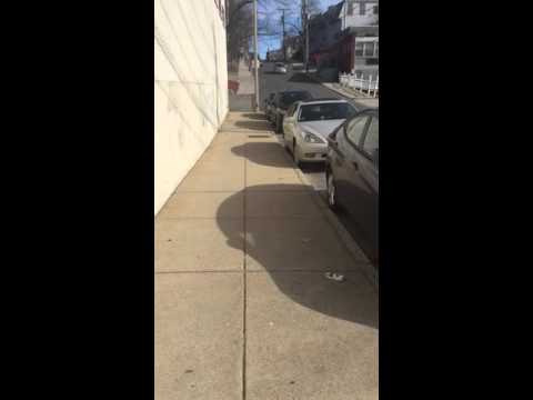 Incorrectly received parking ticket in Brighton, MA Incorrectly received parking ticket in Brighton, MA