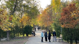 24.10.23, Tu. 24.10.23, Tu, Hravirum enk zbosanki, Nor Nork 1 Zangvatc, Nanseni aygi.