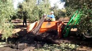 Cajon recogedor de lienzos aceituna PROMAGRI