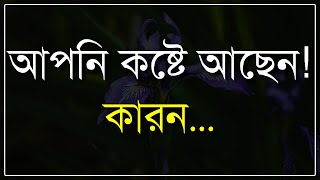 আপনি কষ্টে আছেন। কথা গুলো খুবই শিক্ষানীয়। মন দিয়ে শুনুন।