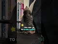 cat catlover catlover キジトラ猫 funny pet tabbycat 猫動画 petlove